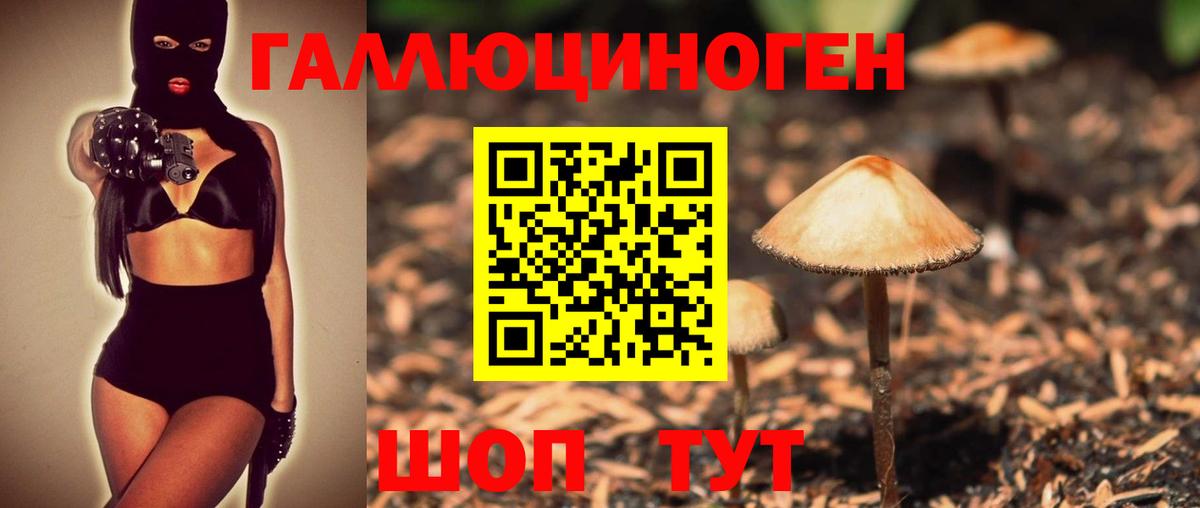 закладка  Вход с VPN  Киров  Галлюциногенные грибы Psilocybine cubensis  Псилоцибиновые грибы Cubensis 